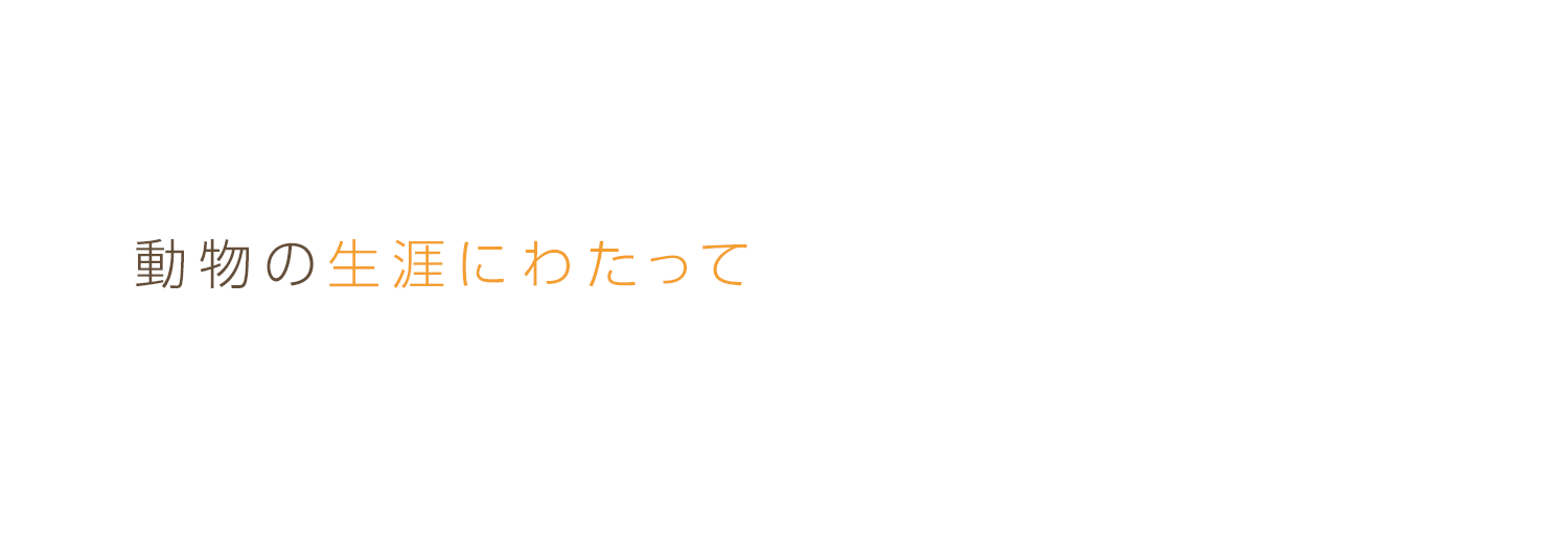 飼い主様と動物の気持ちに寄り添い